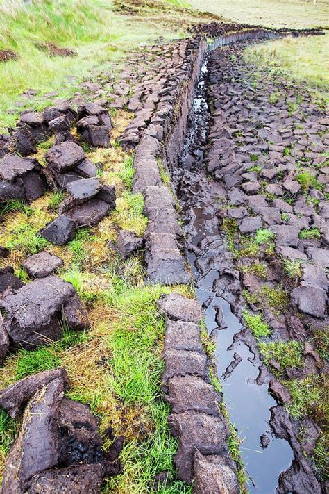 Peat Cutting For Fuel Photograph by Ashley Cooper/science Photo Library