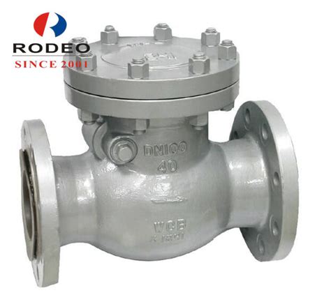 300 Psi Stainless Steel Flanged Swing Check Valve China Valve And