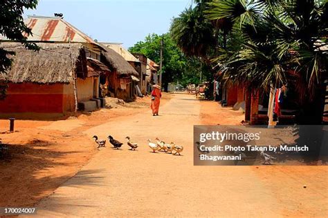 India Village Street Photos And Premium High Res Pictures Getty Images