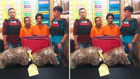 Dua Pria Aceh Ditangkap Polisi Di Medan Bawa Ganja 8 32 Kg Dalam Koper