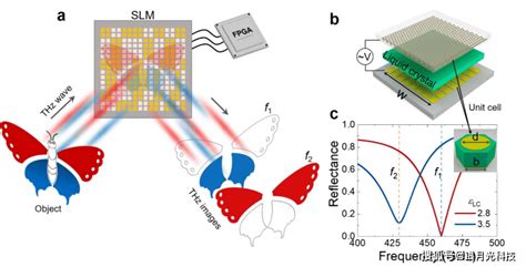 利用液晶空间光调制器，实现双色太赫兹压缩感知成像 频率 研究 器件