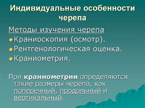 Анатомия черепа - презентация онлайн