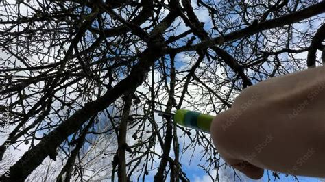 Vidéo Stock Cutting branches of tree Garden work cut Farmer hand