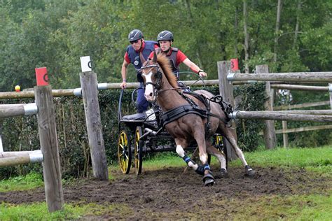 WM Ponyfahrer Deutsches Team Bleibt Auf Medaillen Kurs