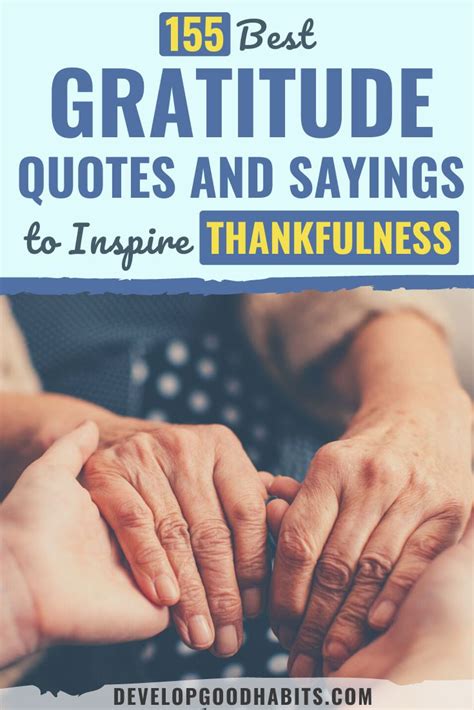 155 Best Gratitude Quotes And Sayings To Inspire Thankfulness