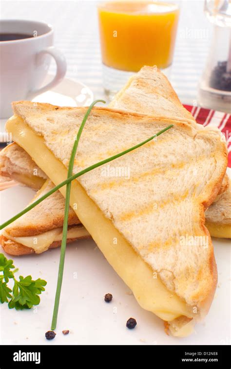 Toasted sandwich with melted cheese Stock Photo - Alamy