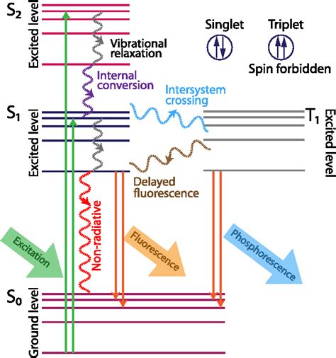 Fluorescence Lifetime Imaging Microscopy Fundamentals And Advances In Instrumentation Analysis