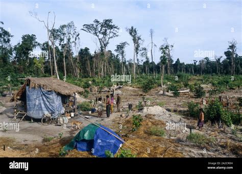 Habitat Degradation Banque De Photographies Et Dimages Haute