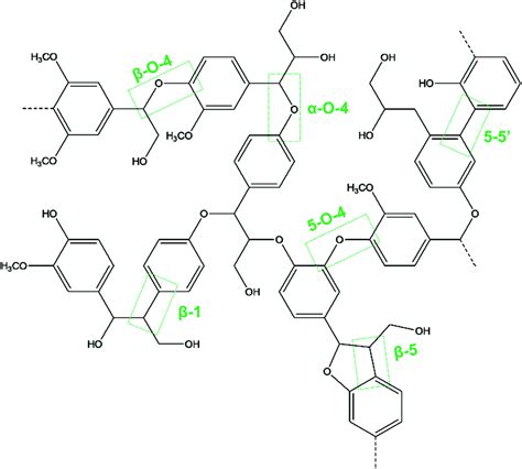 Lignin Structure