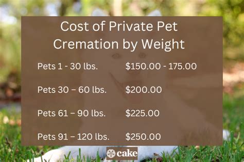 How Much Should A Pet Cremation Really Cost Cake Blog