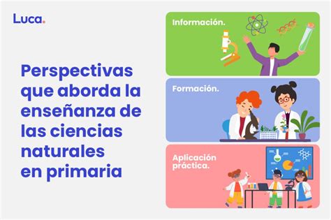 Por Qu Es Importante Ense Ar Ciencias Naturales En Primaria