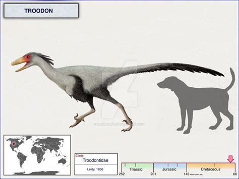 Troodon By Cisiopurple On Deviantart Prehistoric Animals Extinct