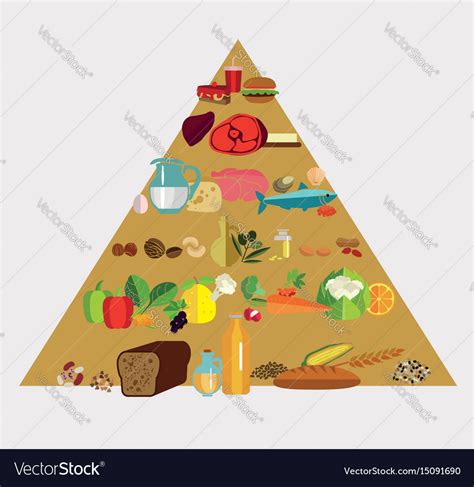 Food Pyramid Royalty Free Vector Image Vectorstock