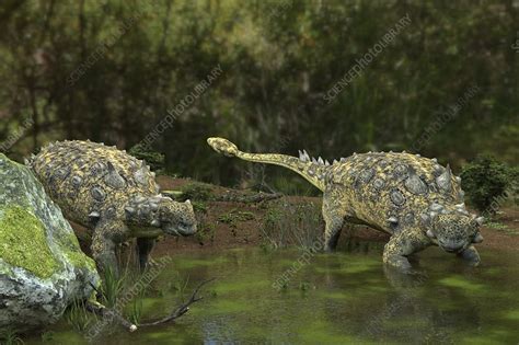 Euoplocephalus Dinosaurs Illustration Stock Image F0120808 Science Photo Library