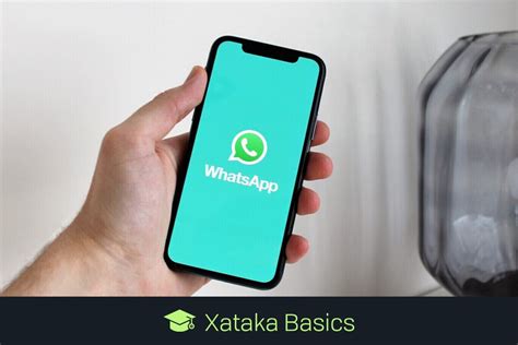 Cómo Transcribir Mensajes De Voz En Whatsapp