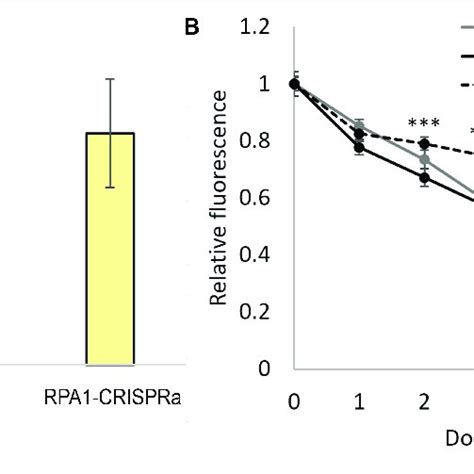 Overexpression Of The Rpa Gene Detected Using Qrt Pcr Three Samples