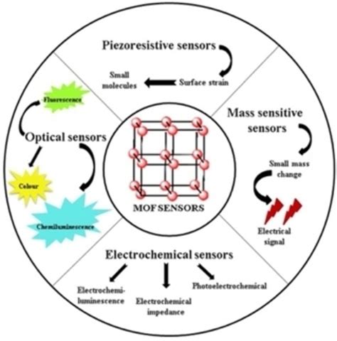 A Comprehensive Overview On Advanced Sensing Applications Of Functional