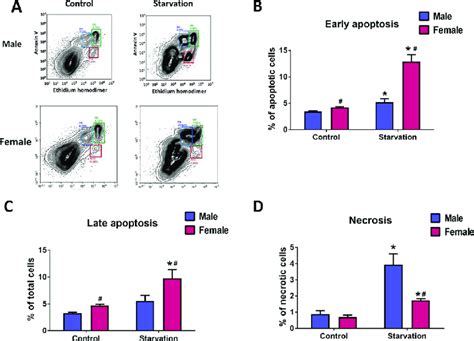 Sex Specific Profile Of Apoptotic And Necrotic Cell Death In Hpaec