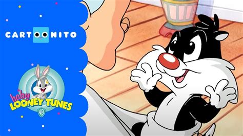 Baby Looney Tunes Sylvester Will Spielen Cartoonito Youtube