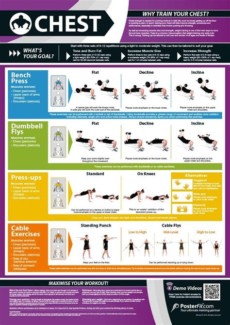 An Illustrated Chart Of The Best Chest Exercises Chest Workout Chest