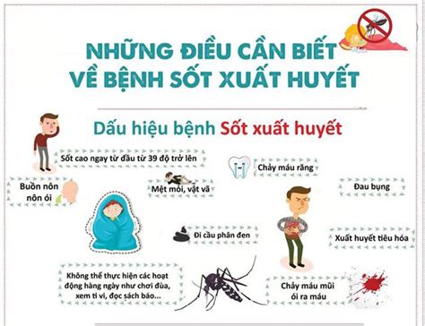 Tất Cả Mọi điều Cần Biết Về Hình ảnh Sốt Xuất Huyết ở Trẻ Em