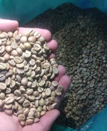 Green Coffee Bean Robusta Cherry Aa At Rs 340 Kg Raw Coffee Beans In