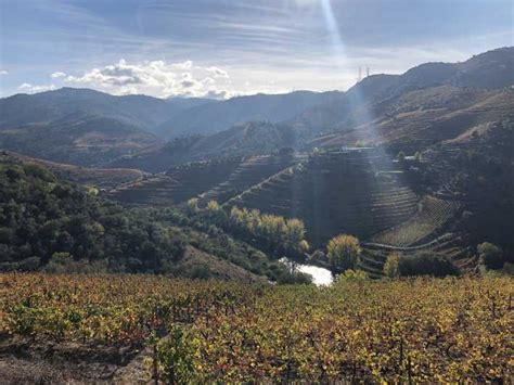 Von Porto Aus Private Tour Durch Das Douro Tal Getyourguide