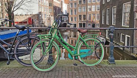 Amsterdam Bikes