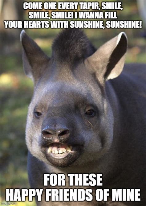 Tapir Meme 2 By Arcgaming91 On Deviantart