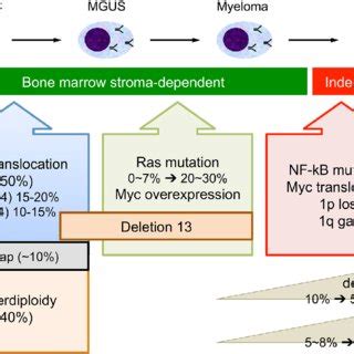 Overview Of Genetic Abnormalities Related To The Initiation And