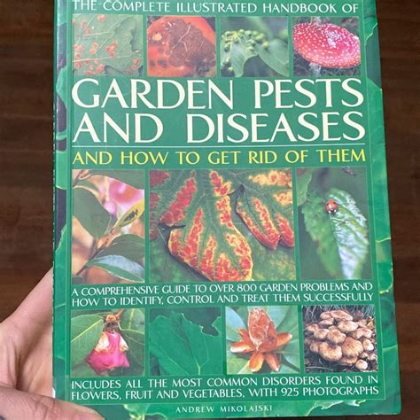 Garden Pests And Diseases And How To Get Rid Of Them