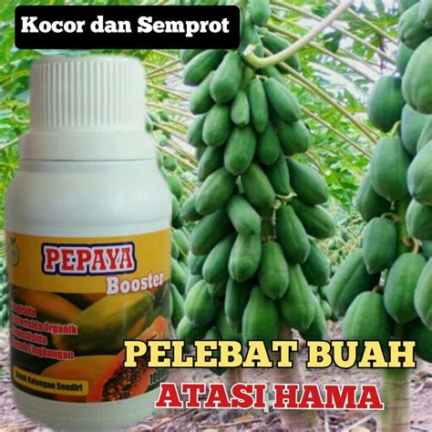 Jual Pupuk Booster Pepaya Perangsang Basmi Hama Buah Terbaik Ampuh