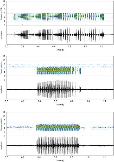 Advertisement Call Spectrograms And Corresponding Oscillograms Of S