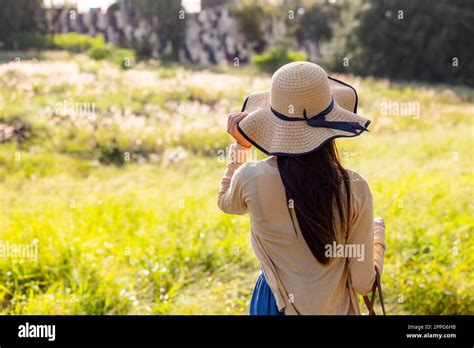 Greenery Hi Res Stock Photography And Images Alamy