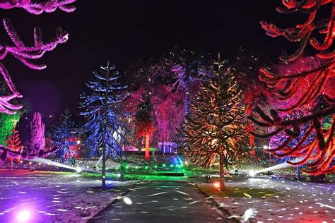 Best Christmas Lights Near Me to See in 2024