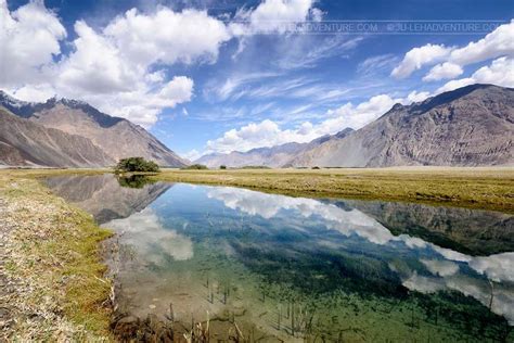 Nubra Valley Tourism - Sightseeing and Travel Guide