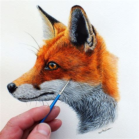 Learn To Paint Wildlife In Watercolour Paint A Realistic Fox In