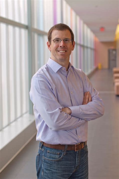 New study makes key findings in potential advancement of diabetes cure ...