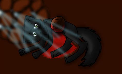 Hollyleaf's Death by CupcakeCarmen123 on DeviantArt