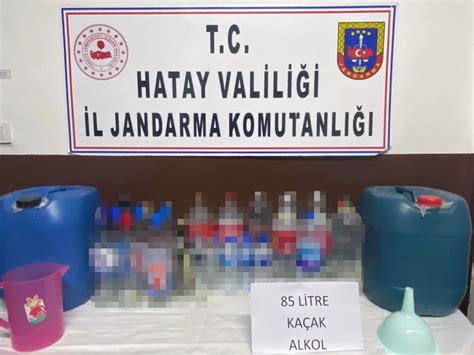 Hatay da 85 litre sahte içki ve 65 kök Hint keneviri ele geçirildi