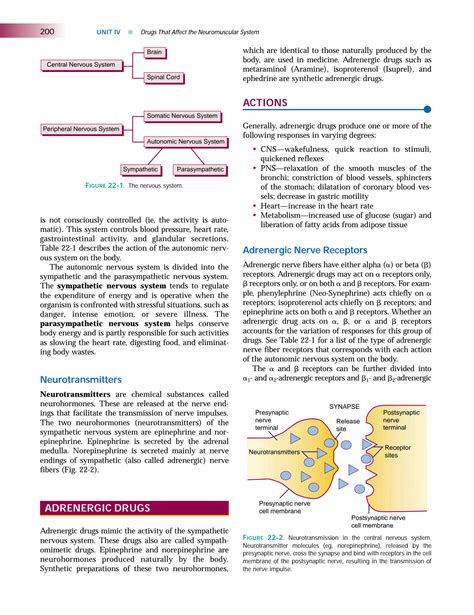 Solution Adrenergic Drugs Studypool