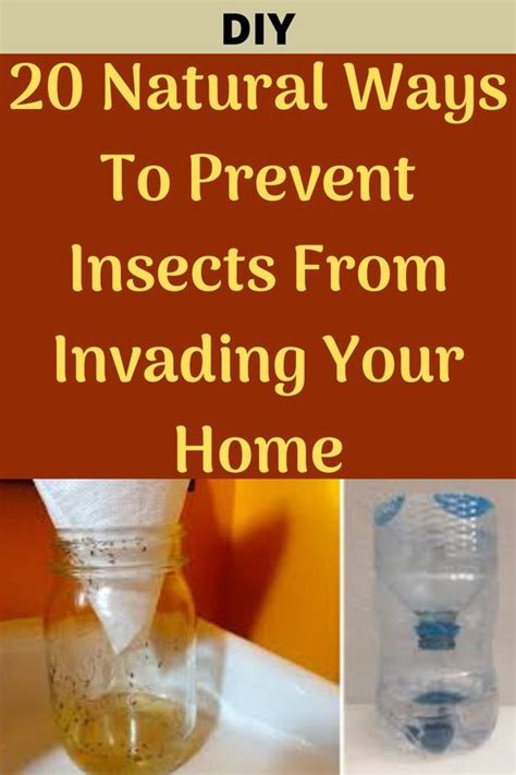 Here Are Of The Best Natural Ways To Keep Pesky Insects From