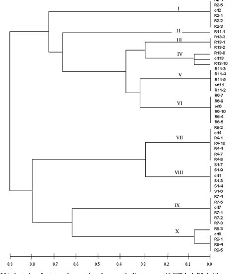 Table 1 From Dna Sequence Based Markers For Verification Of Ramet To