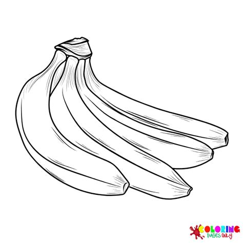 7 Desenhos De Macacos Comendo Bananas Para Colorir Descubra As