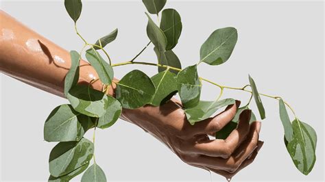 "HONEST" SHOP on Behance