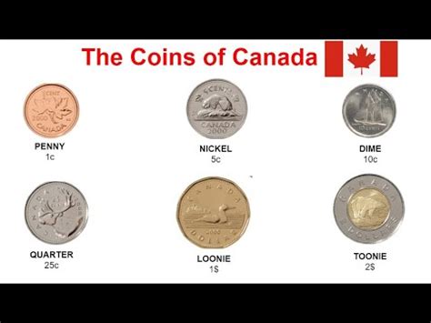 Canadian money COINS of Canada for kids Grade 1 Nickel Dime Loonie ...