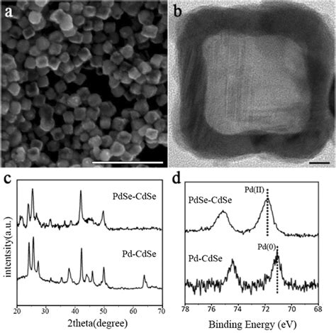 A Sem And B Tem Image Of Pdcdse Double Shell Hollow Nanocubes C Xrd