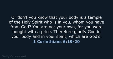 41 Bible Verses About The Body Web