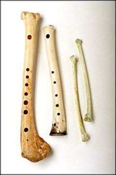 71 Musical bones ideas | unique materials, prehistory, broken bone