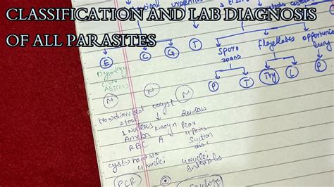 Classification And Lab Diagnosis Of All Parasites Parasitology